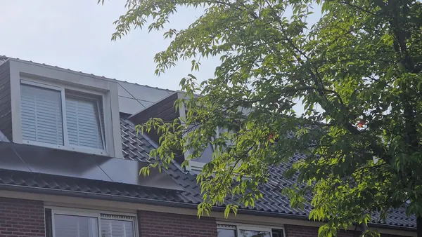 Dakkapel achter een boom, met zonnepanelen op het dak